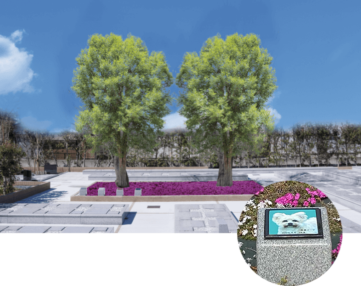 ペット（共葬・個別・合祀）墓